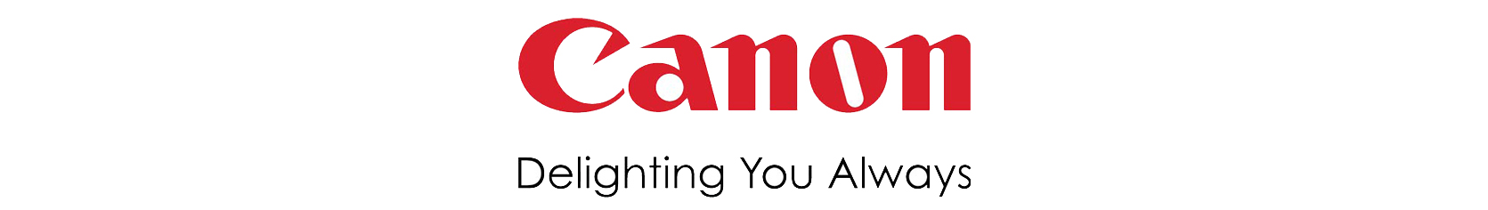 Gold Sponsor